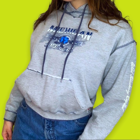 Vintage Michigan Blueberries Hoodie Size Medium Contrast Stitching Sweatshirt - Picture 5 of 5